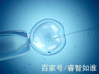 志愿者供卵咨询费用多少